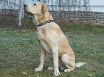 Ralf